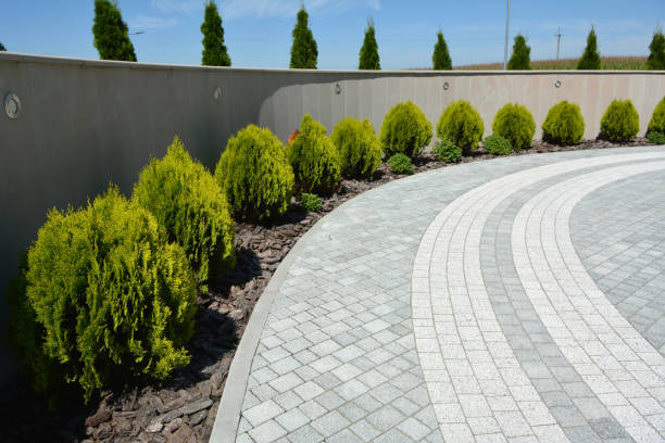 Best Local Driveway Pavers  in Antelope, CA